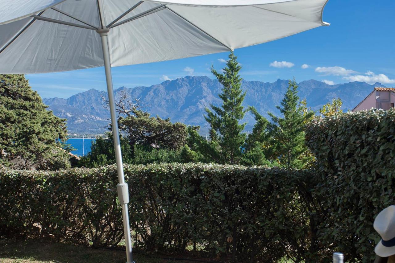 Mare Appart Avec Jardin Et Bbq Vue Mer Et Montagne Plage Et Port A 2 Pas Καλβί Εξωτερικό φωτογραφία